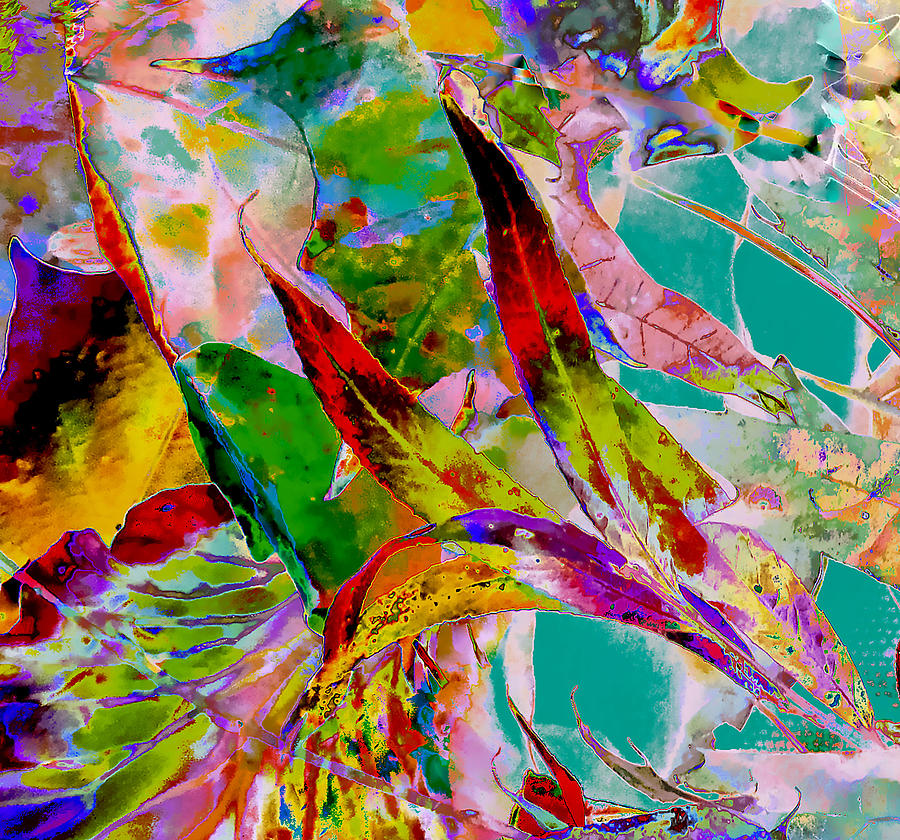 When Color Flies Photograph by Ali Bailey When Color Flies Photograph by Ali Bailey