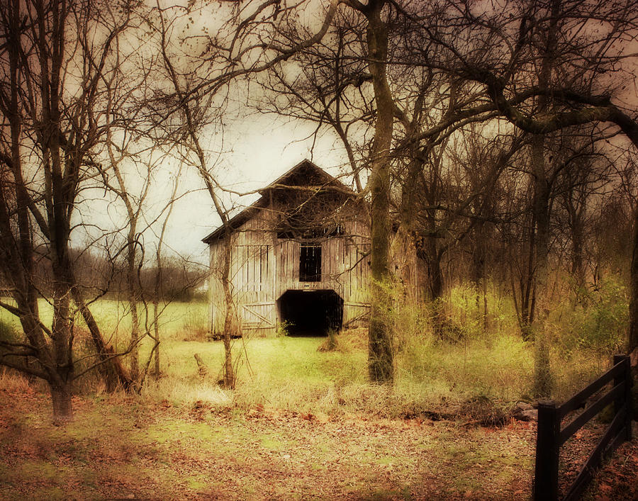 Barn Photograph - When Doors Open by Julie Hamilton
