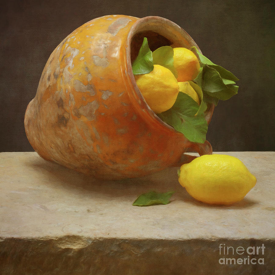 Lemon Photograph - When life gives you lemons by Paul Grand