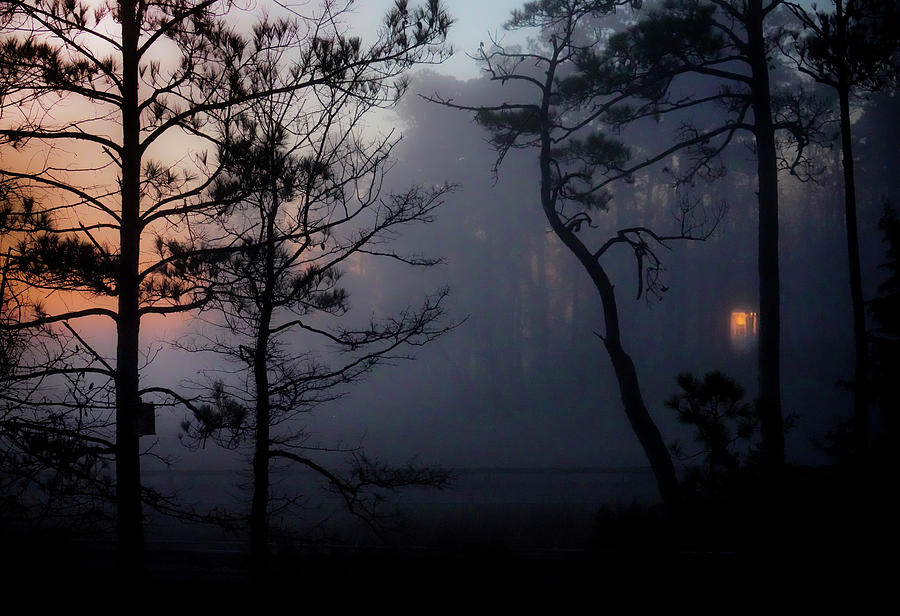 When Morning Lights Meet Photograph by Karen Wiles