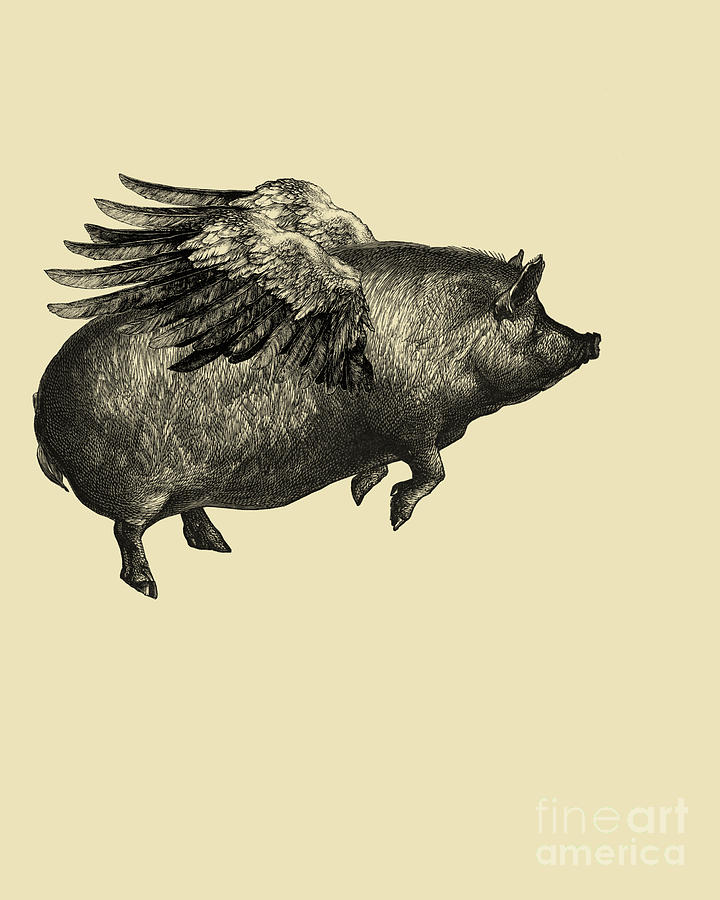 Pig Digital Art - When Pigs Fly by Madame Memento