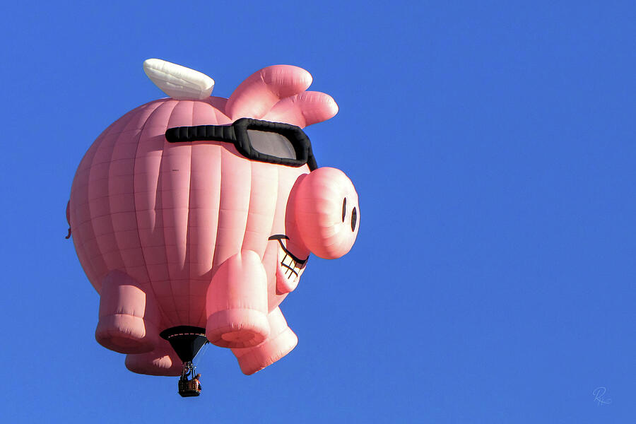 When Pigs Fly Photograph by Robert Harris