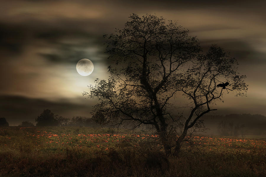 When Pumpkins Glow by Moonlight Mixed Media by Lori Deiter