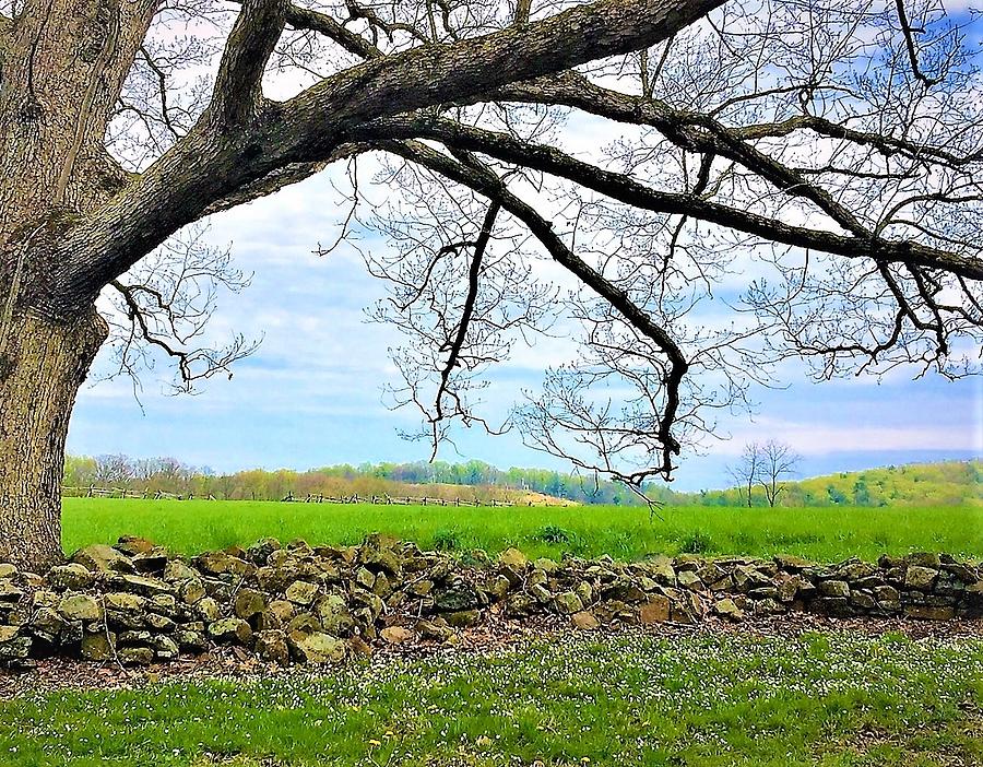 When Spring is on the Way Near Gettysburg Pa Photograph by Angela Davies