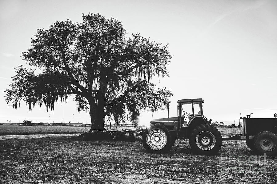 When the Harvest is Over - BW Photograph by Scott Pellegrin
