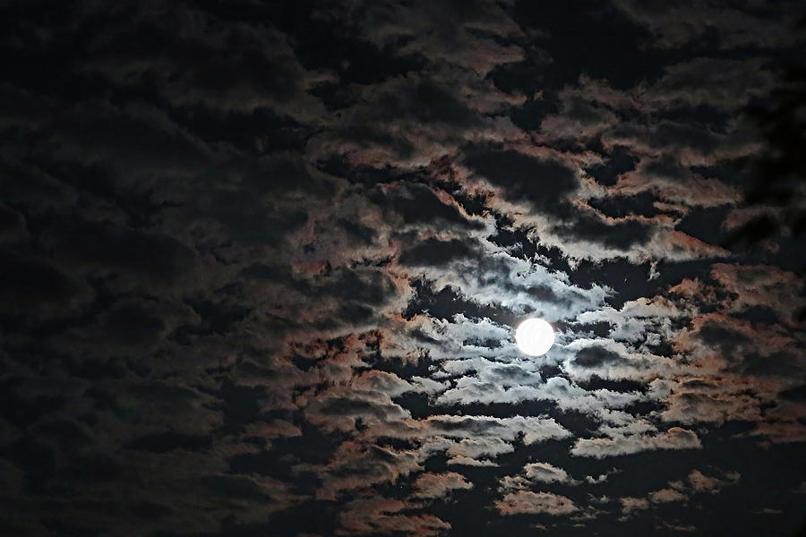 When the Moon Lights the Clouds Photograph by Gina Fitzhugh
