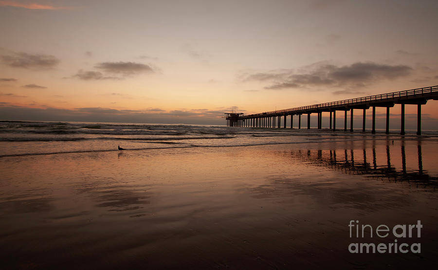 When the sunsets at Scripps Photograph by Ruth Jolly