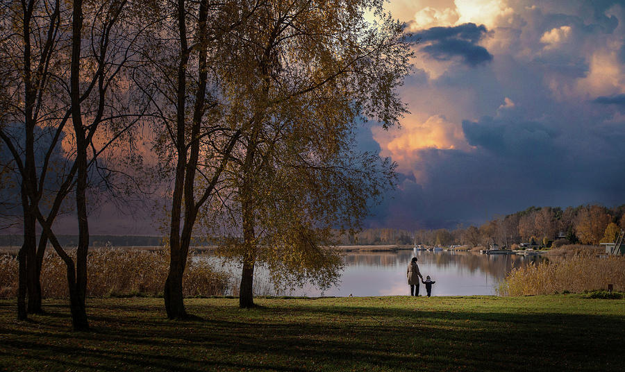 When The Trees Were Big .Latvia . Photograph by Aleksandrs Drozdovs
