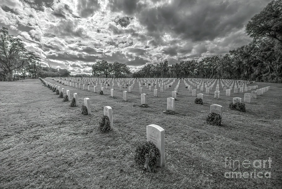 When The Trumpet Sounds, Florida National Cemetery, Buchnell, Florida Photograph by Felix Lai