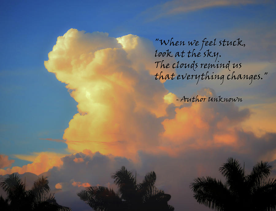 When We Feel Stuck... Photograph by Debra Kewley