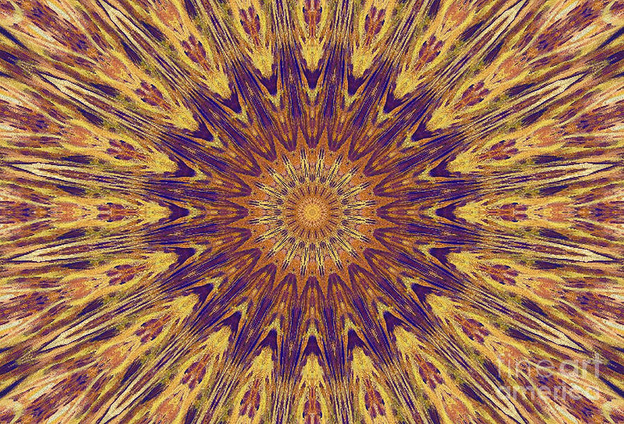 When Yellow Meets Purple Digital Art by Humphrey Isselt