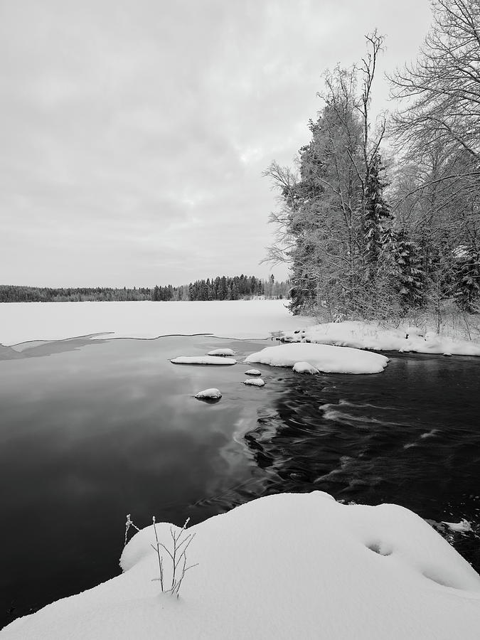 Nature Photograph - Where the lake ends. Parkkuu winter 2023  bw by Jouko Lehto