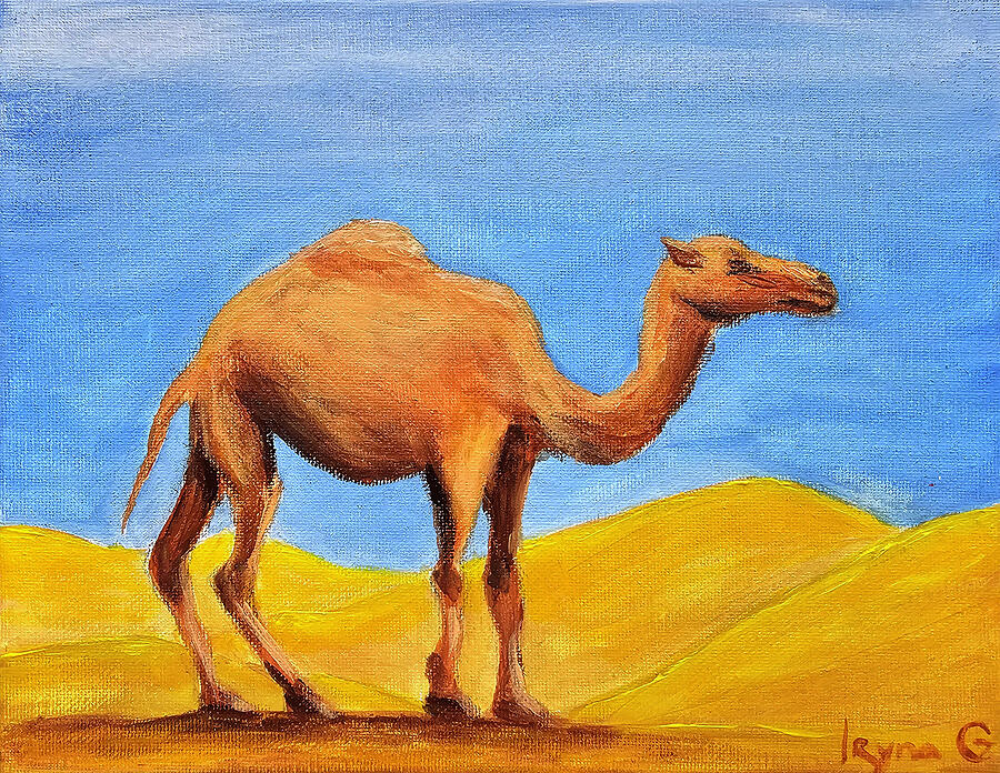 Where Do Camels Belong Painting by Iryna Goodall