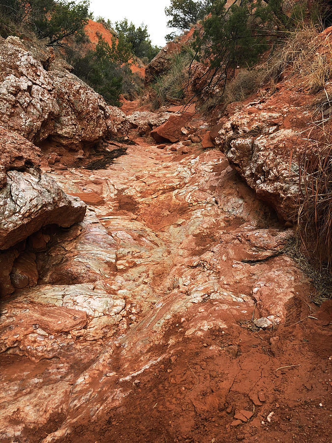 Where Gypsum and Sandstone Meet 2-Dry Creek Bed - Caprock Canyons State Park, Texas Photograph by Richard Porter