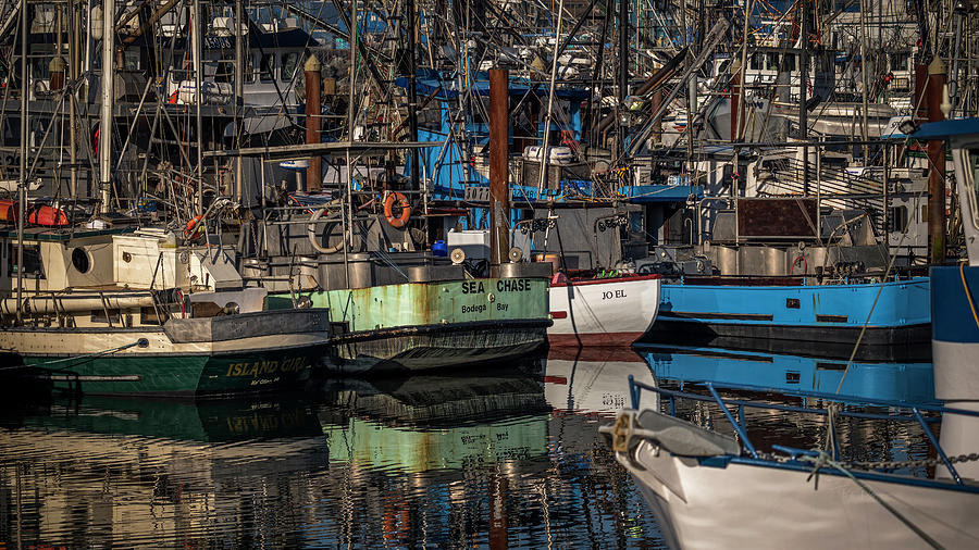 Where is my boat Photograph by Bill Posner