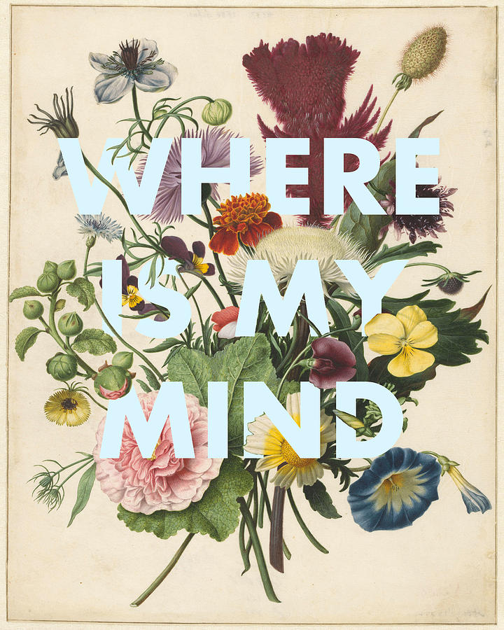 Where is My Mind Quote Print Digital Art by Georgia Clare