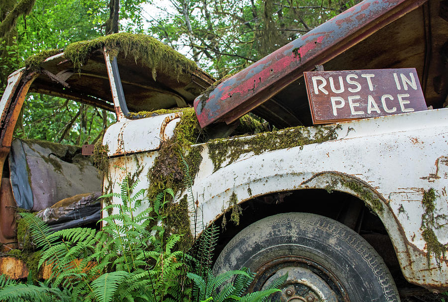 Where Old Trucks Go to Rest in Peace Photograph by Bruce Gourley
