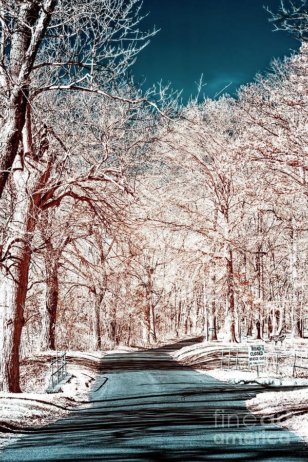 Where the Adventure Begins Infrared at Washington Crossing Photograph by John Rizzuto