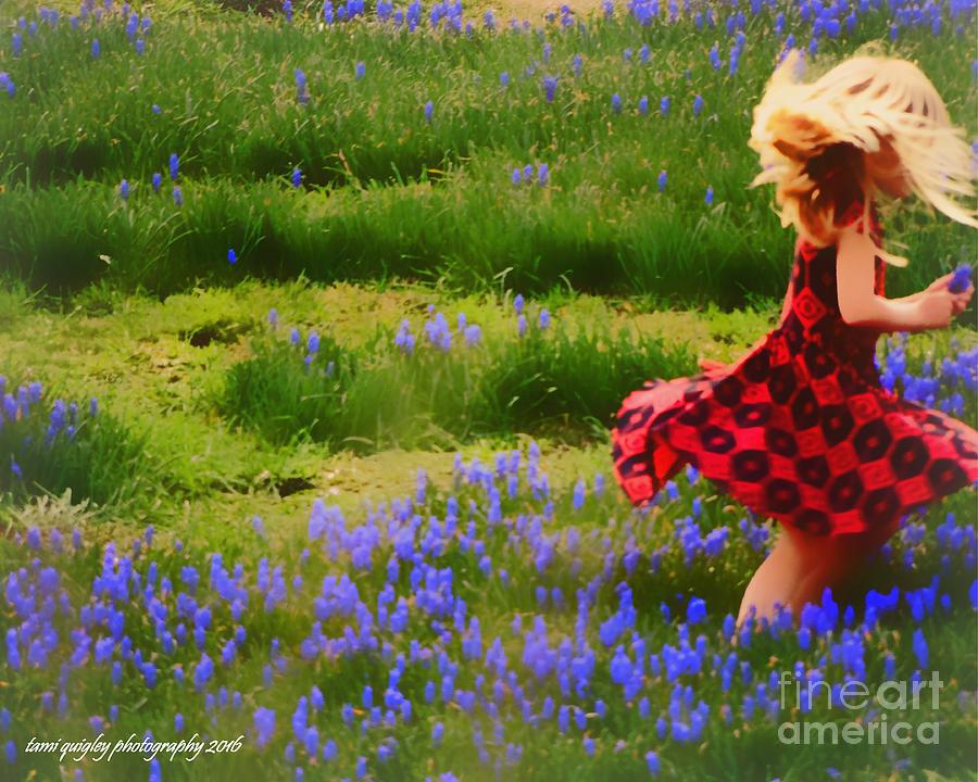 Where The Bluebells Bloom Photograph by Tami Quigley