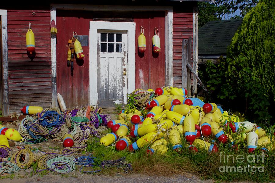 Where the Buoys Are Photograph by Alice Mainville