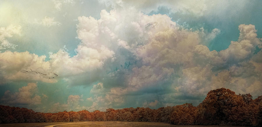 Fall Photograph - Where The Clouds Play by Jai Johnson