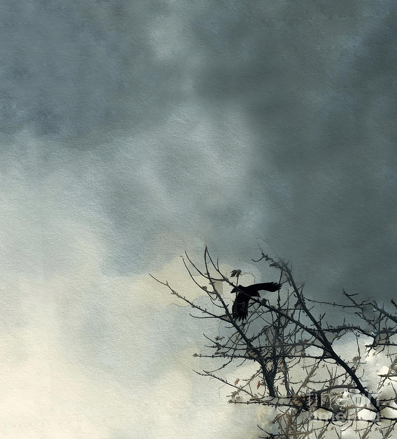Where the Crow Fkies Digital Art by Diana Rajala