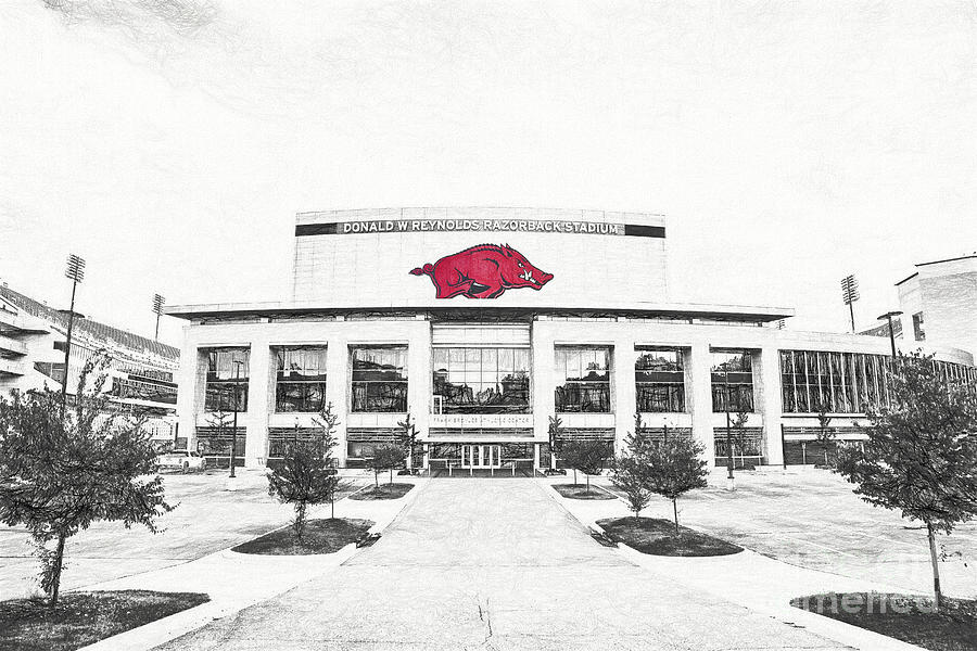 Where the Hogs Play - selective color sketch Photograph by Scott Pellegrin