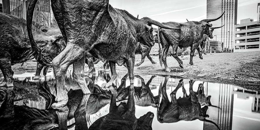 Where The Longhorns Gather - Dallas Texas BW Panorama Photograph by Gregory Ballos