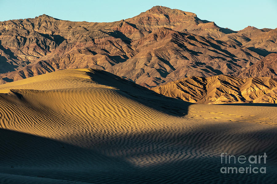 Where the Mountains Meet the Sand Photograph by Erin Marie Davis