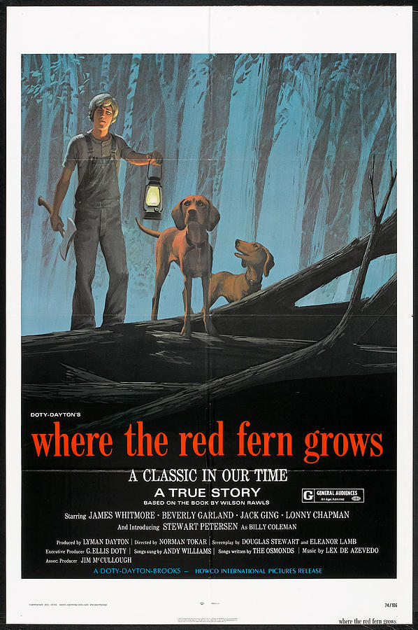 Where the Red Fern Grows, 1974 Mixed Media by Movie World Posters