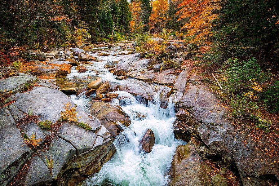 Fall Photograph - Where The River Flows by Jeff Sinon