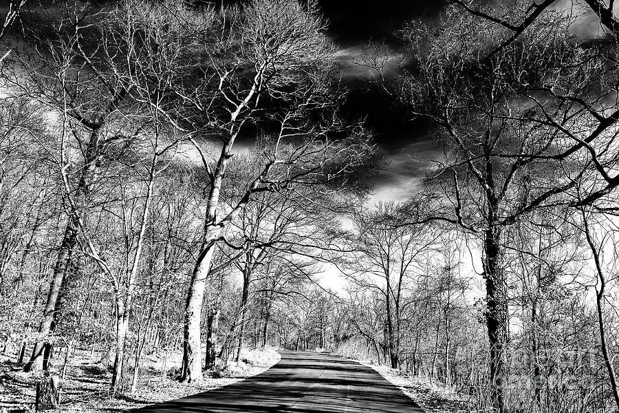 Where the Road Leads at the South Mountain Reservation in New Jersey Photograph by John Rizzuto