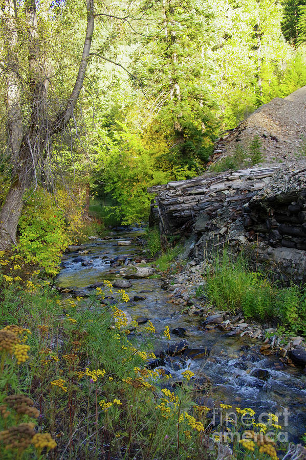 Creek Photograph - Where The Small Creek Bends by Jeff Swan Creek Photograph - Where The Small Creek Bends by Jeff Swan