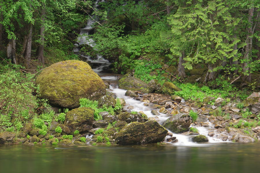 Where the stream joins the river Photograph by Jeff Swan