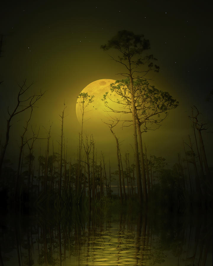 Where the Wild Moon Sleeps Photograph by Mark Andrew Thomas