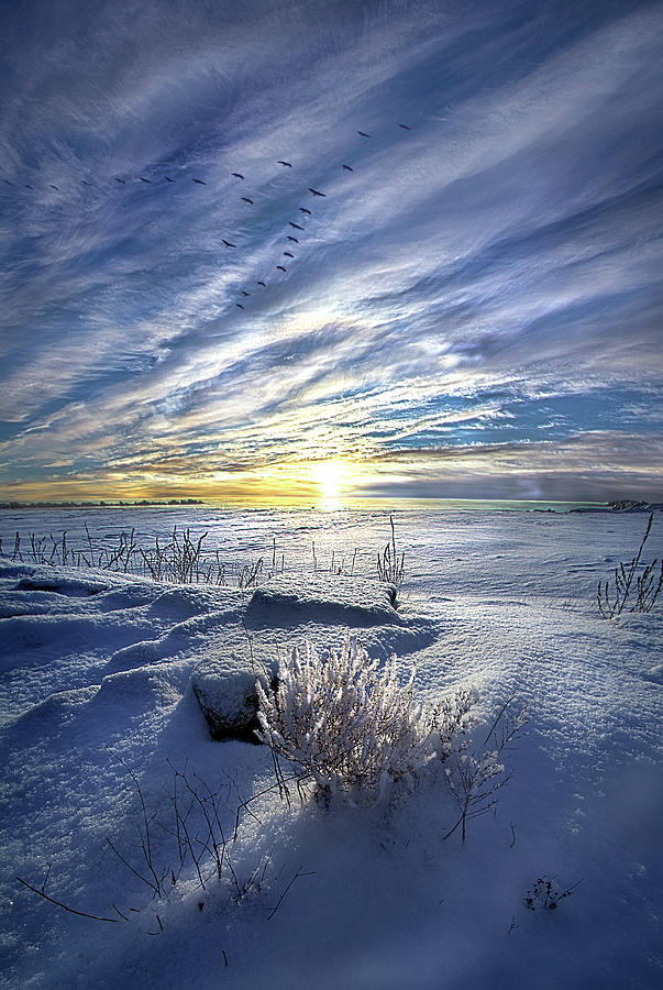 Where To Begin Photograph by Phil Koch