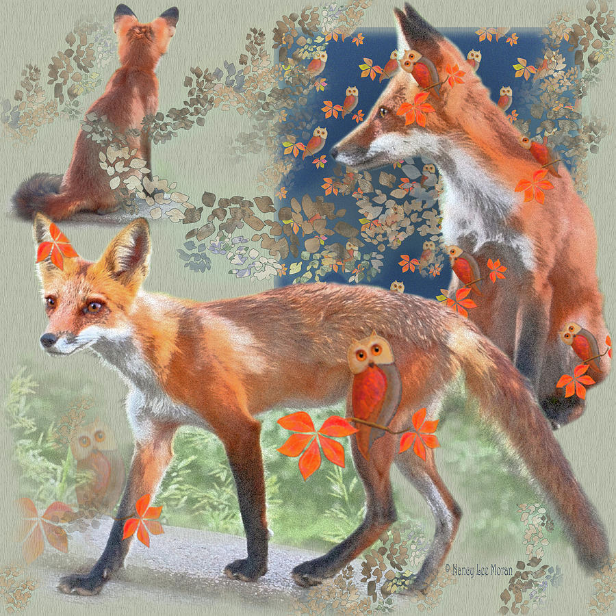 Where Young Foxes Roam at Sunset Mixed Media by Nancy Lee Moran