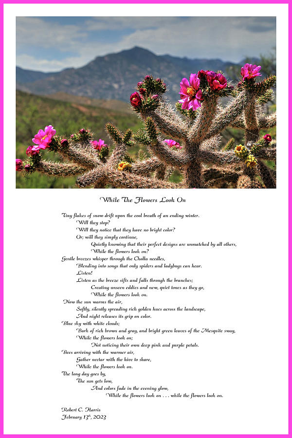 While The Flowers Look On - Poem Photograph by Robert Harris