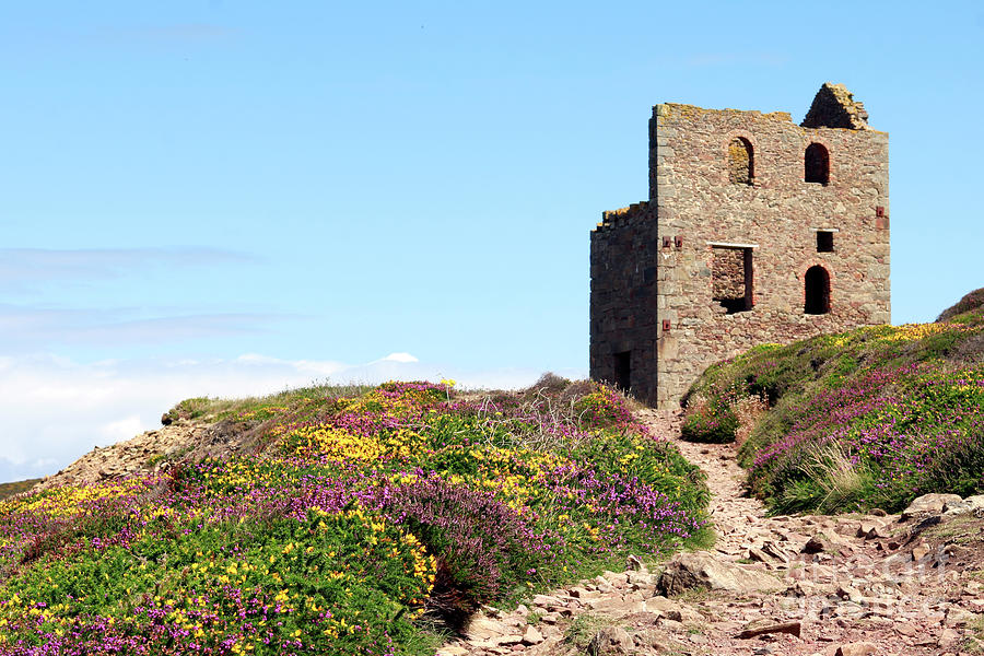 Nature Photograph - Whim Engine House Wheal Coates by Terri Waters