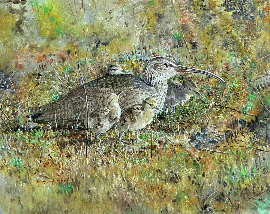 Whimbrel with Chicks Painting by Barry Kent MacKay