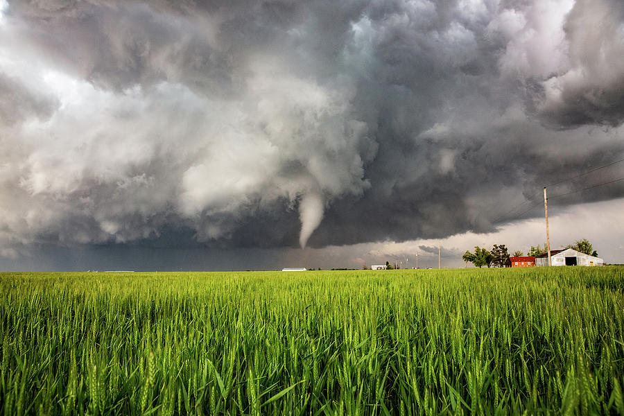 Texas Photograph - Whims of the Weather - Tornado Over Wheat Field in Texas by Southern Plains Photography Texas Photograph - Whims of the Weather - Tornado Over Wheat Field in Texas by Southern Plains Photography