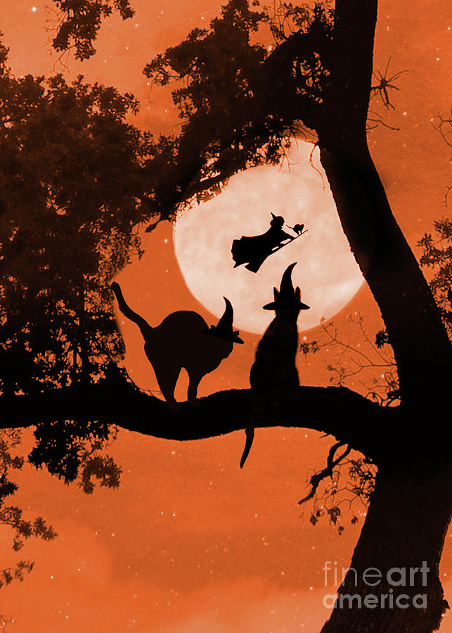 Whimsical and Cute, Halloween Cats in a Tree with Witch Photograph by Stephanie Laird