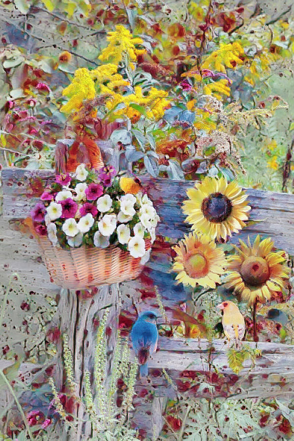 Whimsical Garden Greeting Photograph by Debra and Dave Vanderlaan