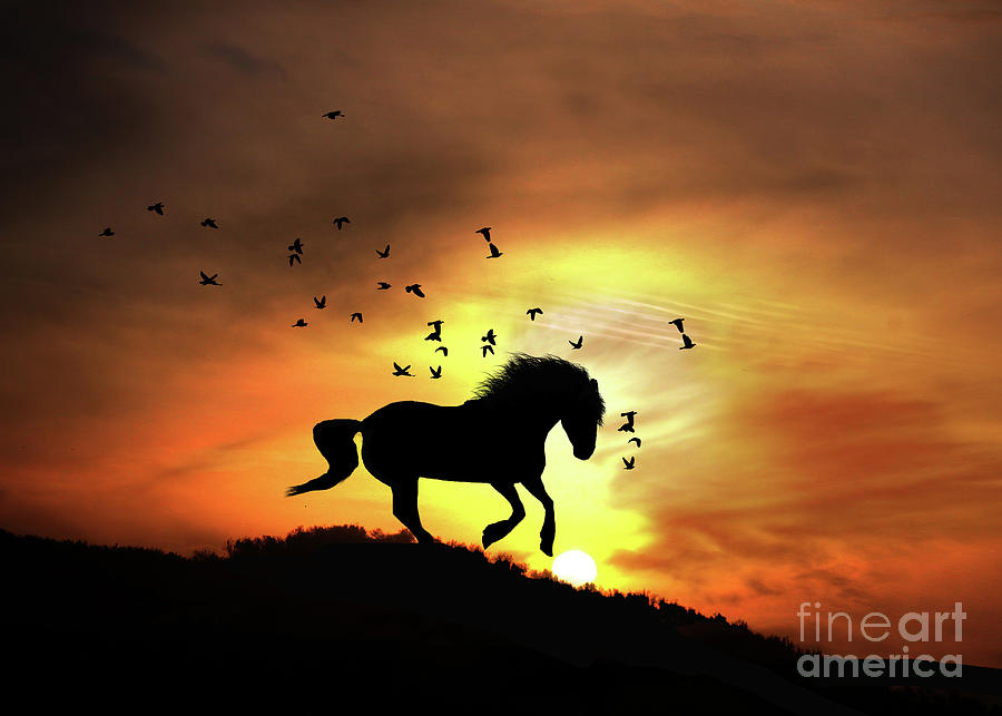 Horse Photograph - Whimsical Horse in the Sunset with Birds by Stephanie Laird