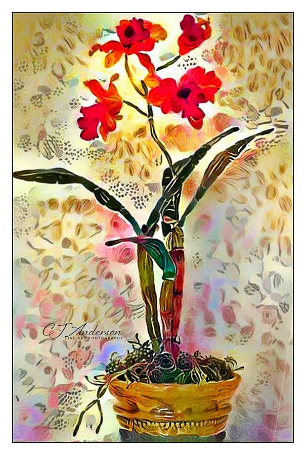 Whimsical Orchid Photograph
