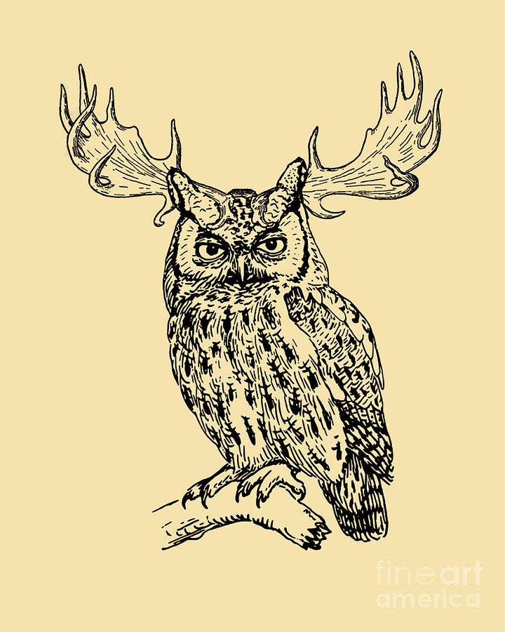 Owl Digital Art - Whimsical Owl by Madame Memento