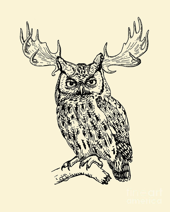 Owl Digital Art - Whimsical Owl With Antlers by Madame Memento