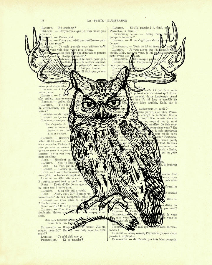 Owl Digital Art - Whimsical woodland owl by Madame Memento