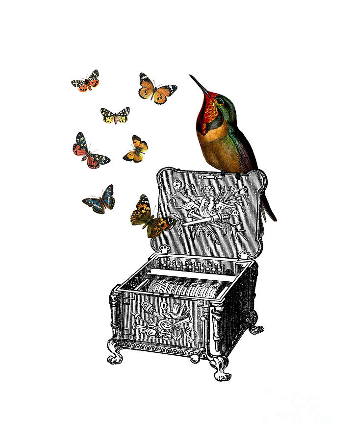 Hummingbird Digital Art - Whimsy Melody by Madame Memento