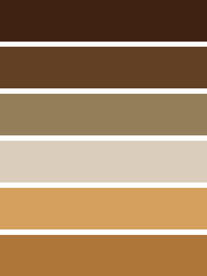 Whipped Caramel Macchiato Color Palette With Spaces Digital Art By Causeways Palette